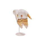 LLADRÓ PORCELAIN SCULPTURE "ABUNDANCE MUDRA" WHITE AND GOLD 