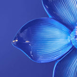 Lampada da parete Werns Bloom Blu