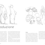 Anatomia artistica Vol. 3: Mani, piedi, testa – L'Ippocampo Edizioni
