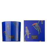 Candela profumata 650g VILA HERMANOS Rain Forest