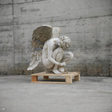 DANIELE ACCOSSATO - PALLET N.4 2022