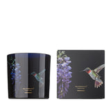 Candela profumata Colibrì 650g VILA HERMANOS
