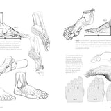 Anatomia artistica Vol. 3: Mani, piedi, testa – L'Ippocampo Edizioni
