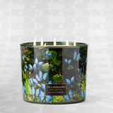 Candela profumata 1450g VILA HERMANOS Blue Butterfly in vetro 5 stoppini