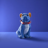 Figura decorativa cane Werns Molly Bulldog Francese blu con collare