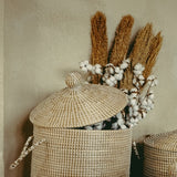 Pampas decorativo naturale 125 cm